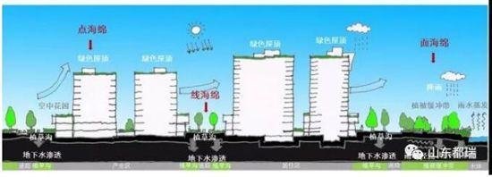 如何理解「海綿城市」的概念？