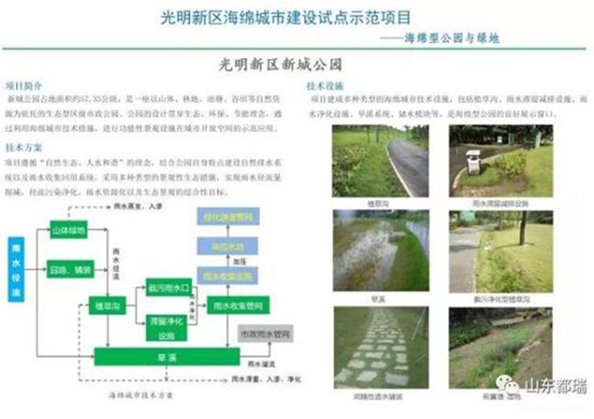如何理解「海綿城市」的概念？